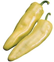 Bananarama Pepper